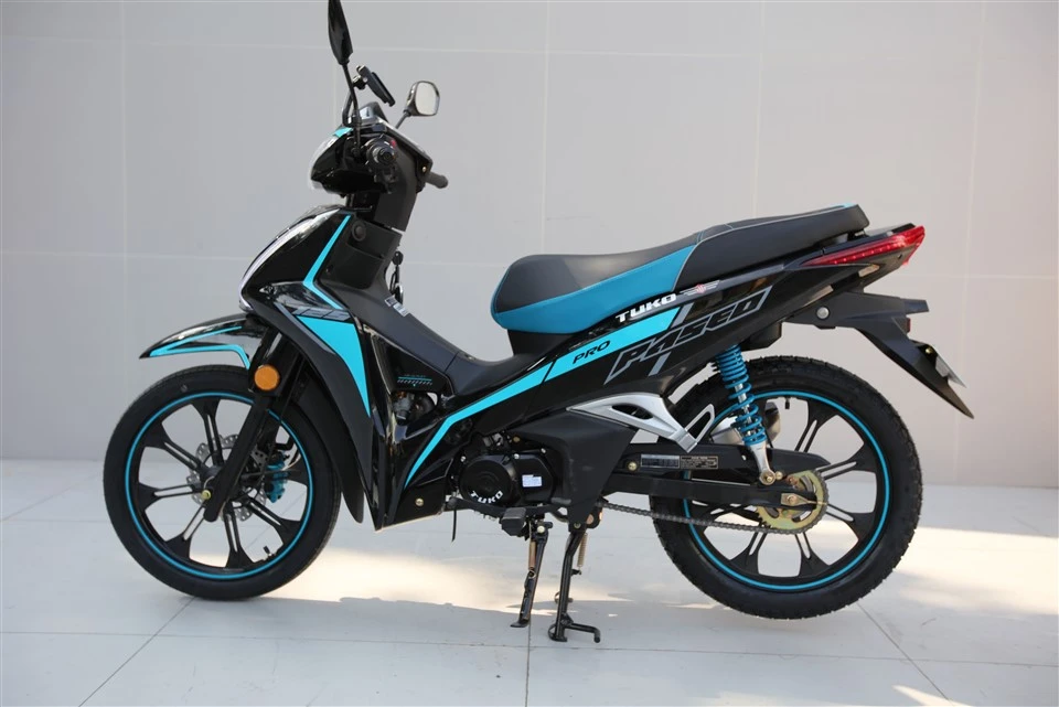 Gas Powered Motorbike